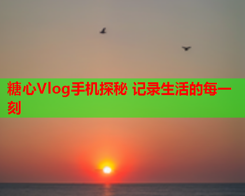 糖心Vlog手机探秘 记录生活的每一刻