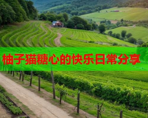 柚子猫糖心的快乐日常分享  第2张
