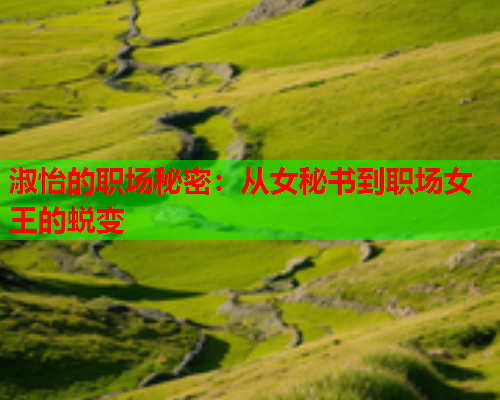 淑怡的职场秘密：从女秘书到职场女王的蜕变  第2张