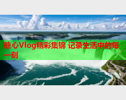 糖心Vlog精彩集锦 记录生活中的每一刻