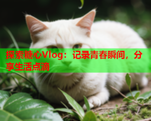 探索糖心Vlog：记录青春瞬间，分享生活点滴