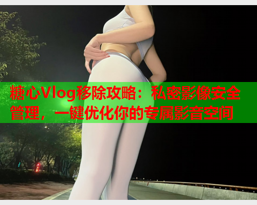 糖心Vlog移除攻略：私密影像安全管理，一键优化你的专属影音空间
