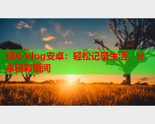 糖心Vlog安卓：轻松记录生活，分享精彩瞬间