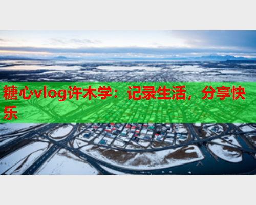 糖心vlog许木学：记录生活，分享快乐