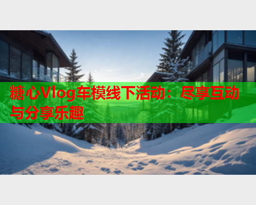糖心Vlog车模线下活动：尽享互动与分享乐趣