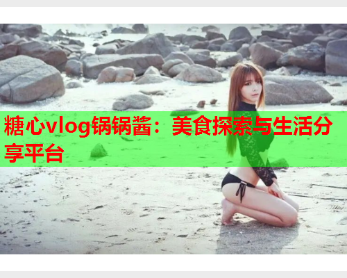 糖心vlog锅锅酱：美食探索与生活分享平台